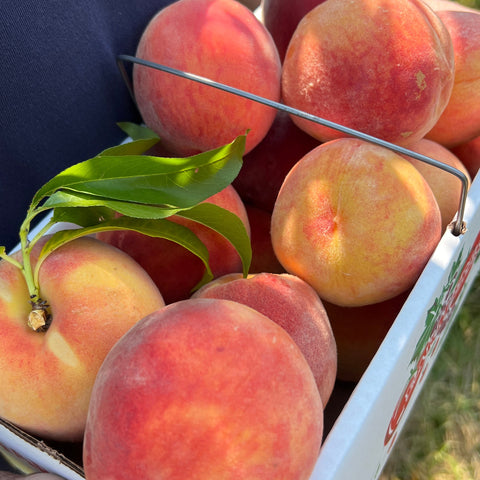 Yellow Peaches - Pre-Order